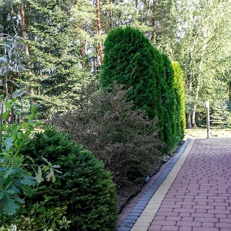 Chill Out Wysoka Kolo Wadowic * Wysoka (Wadowice)