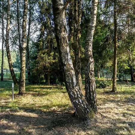 Chill Out Wysoka Kolo Wadowic Holiday home *